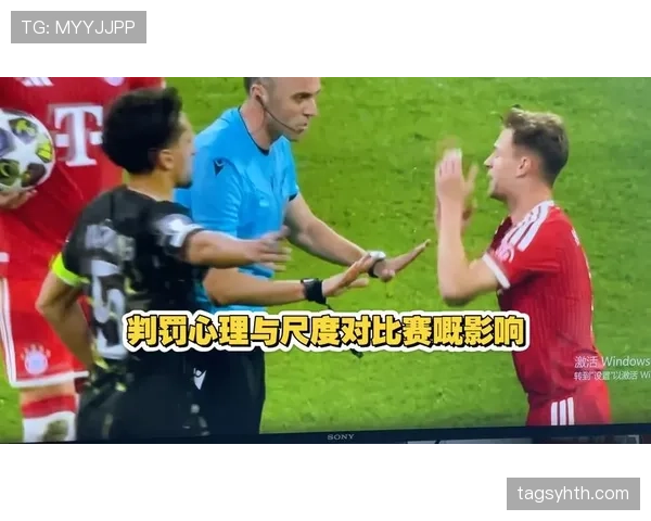 专业解析干扰球国际规则差异对于比赛判罚尺度与标准的影响 专业解析干扰球国际规则差异对于比赛判罚尺度与标准的影响